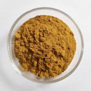 Extrait de pépins de raisin OPC Procyanidines Polyphénols 80% 95%