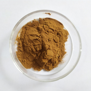 Extrait de Ganoderma Lucidum Ganoderma
