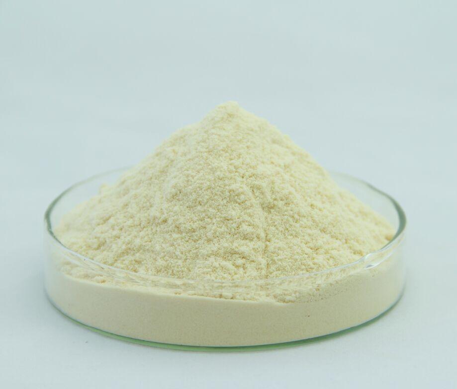 Algues oméga 3 dha 10% poudre usp ep