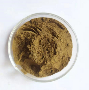 Extrait de verveine officinale